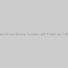 Image of Recombinant Borrelia Turicatae rpsD Protein (aa 1-208)